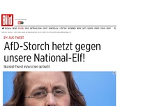 Bild zum Artikel: EM-Aus-Tweet - AfD-Storch hetzt gegen unsere National-Elf!