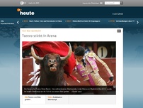 Bild zum Artikel: Torero stirbt in Arena