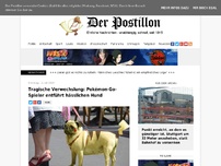 Bild zum Artikel: Tragische Verwechslung: Pokémon-Go-Spieler entführt hässlichen Hund