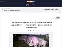 Bild zum Artikel: 'Die Tiere können nicht einmal ihre Beine ausstrecken“ - schockierende Bilder vom Gut Thiemendorf