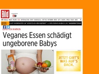 Bild zum Artikel: Experten warnen - Veganes Essen schädigt ungeborene Babys