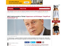 Bild zum Artikel: SPD-Fraktionschef zu Türkei: Oppermann wirft Erdogan 'Angriff auf Rechtsstaat' vor