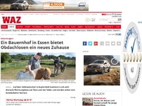 Bild zum Artikel: Ein Bauernhof in Essen bietet Obdachlosen ein neues Zuhause