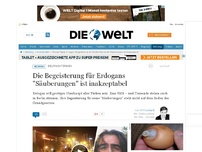 Bild zum Artikel: Deutschtürken: Die Begeisterung für Erdogans 'Säuberungen' ist inakzeptabel
