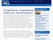 Bild zum Artikel: Schweinerei: Ungebetene Gäste am Swimmingpool