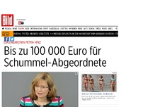 Bild zum Artikel: Übergangsgeld - Bis zu 100 000 Euro für Schummel-Abgeordnete