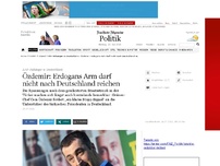 Bild zum Artikel: AKP-Anhänger in Deutschland: Özdemir - Erdogans Arm darf nicht nach Deutschland reichen
