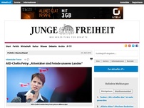 Bild zum Artikel: AfD-Chefin Petry: „Attentäter sind Feinde unseres Landes“