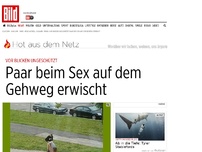 Bild zum Artikel: Vor Blicken ungeschützt - Paar beim Bürgersteig-Sex erwischt