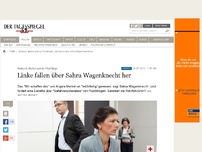 Bild zum Artikel: Linker Shitstorm gegen Sahra Wagenknecht