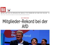 Bild zum Artikel: Nach Terror-Serie - Mitglieder-Rekord bei der AfD