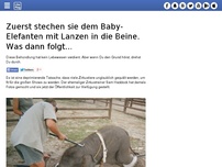 Bild zum Artikel: Zuerst stechen sie dem Baby-Elefanten mit Lanzen in die Beine. Was dann folgt...