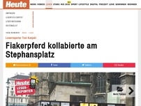 Bild zum Artikel: Leserreporter Toni Konjuhi: Fiakerpferd kollabierte am Stephansplatz