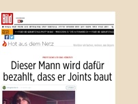 Bild zum Artikel: Kunst aus Gras - Dieser Mann wird für's Joint-Bauen bezahlt