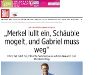 Bild zum Artikel: FDP-Chef Christian Lindner - »Merkel lullt ein und Gabriel muss weg...
