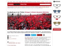 Bild zum Artikel: Großkundgebung in Istanbul: Die Türkei feiert