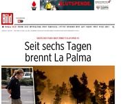 Bild zum Artikel: Klopapier angezündet - Seit sechs Tagen brennt La Palma