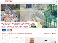 Bild zum Artikel: Neonazi missbraucht Mädchen in Waldstück