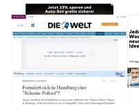 Bild zum Artikel: Islamismus: Formiert sich in Hamburg eine 'Scharia-Polizei'?
