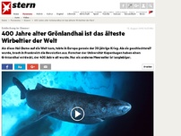 Bild zum Artikel: Entdeckung im Eismeer: 400 Jahre alter Grönlandhai ist das älteste Wirbeltier der Welt