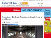 Bild zum Artikel: Tierquälerei: Die letzte Nerzfarm in Brandenburg ist geschlossen