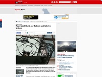 Bild zum Artikel: Dietersheim - Paar lässt Hund auf Balkon und fährt in Urlaub
