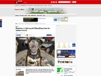 Bild zum Artikel: Berlin - Rentner in Not sucht Pfandflaschen für seinen Hund