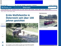 Bild zum Artikel: Erste Wolfsfamilie in Österreich seit über 100 Jahren gesichtet