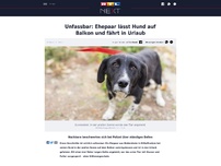 Bild zum Artikel: Unfassbar: Ehepaar lässt Hund auf Balkon und fährt in Urlaub