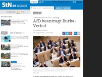 Bild zum Artikel: Gesetzentwurf für Landtag: AfD beantragt Burka-Verbot