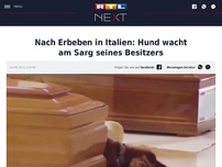 Bild zum Artikel: Nach Erbeben in Italien: Hund wacht am Sarg seines Besitzers