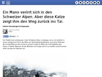 Bild zum Artikel: Ein Mann verirrt sich in den Schweizer Alpen. Aber diese Katze zeigt ihm den Weg zurück ins Tal.