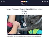 Bild zum Artikel: Letzte Fahrt zum Tierarzt: Kater hält Hand seiner Besitzer