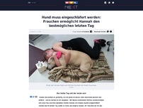 Bild zum Artikel: Hund muss eingeschläfert werden: Frauchen ermöglicht Hannah den bestmöglichen letzten Tag