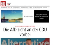 Bild zum Artikel: Schock-Umfrage - Die AfD zieht in Meck-Pomm an der CDU vorbei