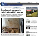 Bild zum Artikel: Basel: Tagelang eingesperrt - Hund verendet in Wohnung