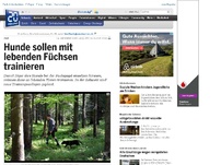 Bild zum Artikel: Jagd: Hunde sollen mit lebenden Füchsen trainieren