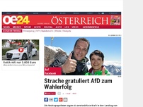 Bild zum Artikel: Strache gratuliert AfD zum Wahlerfolg