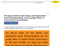 Bild zum Artikel: Ein Bauer steht auf der Wiese und beobachtet seine Schweineherde, als ein junger Mann in einem Ferrari heranbraust.