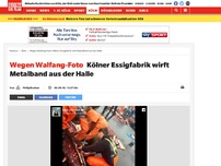 Bild zum Artikel: Wegen Walfang-Foto: Kölner Essigfabrik wirft Metalband aus der Halle