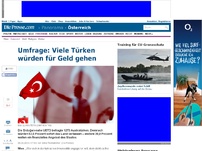Bild zum Artikel: Umfrage: Viele Türken würden für Geld gehen