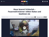 Bild zum Artikel: Haus brennt lichterloh - Feuerwehrmänner retten Katze und beatmen sie