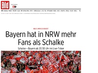 Bild zum Artikel: Neue Umfrage beweist - Bayern hat im Ruhrgebiet mehr Fans als Schalke