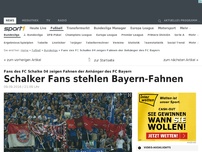 Bild zum Artikel: Schalker Fans stehlen Bayern-Fahnen