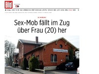 Bild zum Artikel: Bei Hamburg! - Sex-Mob fällt im Zug über Frau (20) her