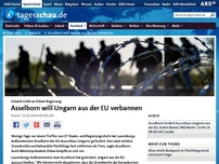 Bild zum Artikel: Asselborn will Ungarn aus der EU verbannen