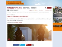 Bild zum Artikel: Sicherheitsdebatte: Warum Terrorangst Unsinn ist