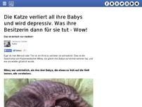 Bild zum Artikel: Die Katze verliert all ihre Babys und wird depressiv. Was ihre Besitzerin dann für sie tut - Wow!
