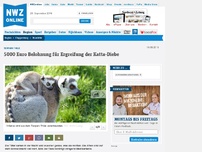 Bild zum Artikel: 13 Kattas aus Tierpark Thüle gestohlen