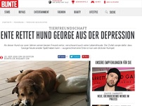 Bild zum Artikel: Ente rettet Hund George aus der Depression